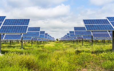 Eni punta sul fotovoltaico: parco in Algeria con Sonatrach