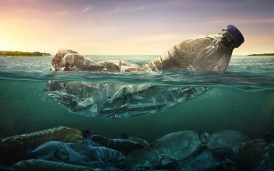 Verso un trattato mondiale per porre fine all’inquinamento da plastica